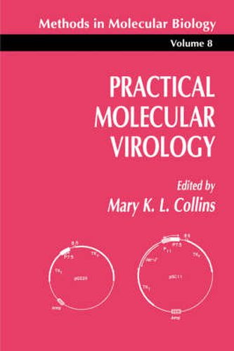 Cover image for Practical Molecular Virology