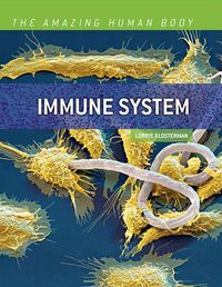 Cover image for Immune System