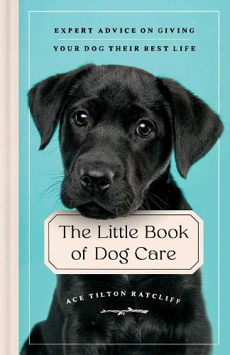 Cover image for The Little Book of Dog Care