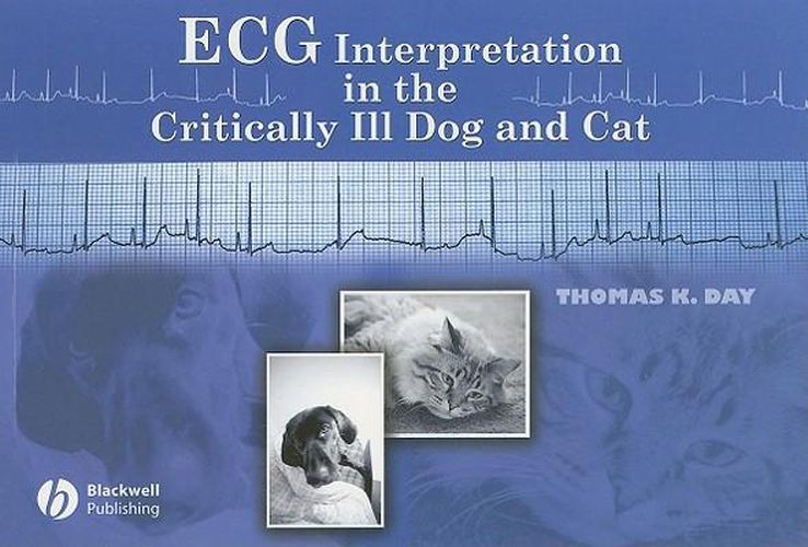 Cover image for ECG Interpretation in the Critically Ill Dog and Cat