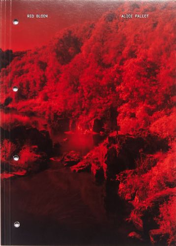 Cover image for Red Bloom