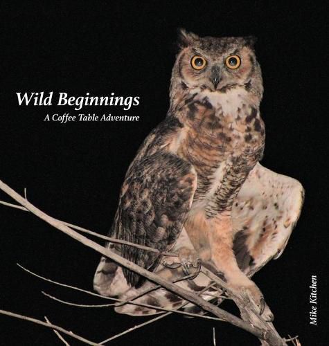 Cover image for Wild Beginnings: A Coffee Table Adventure