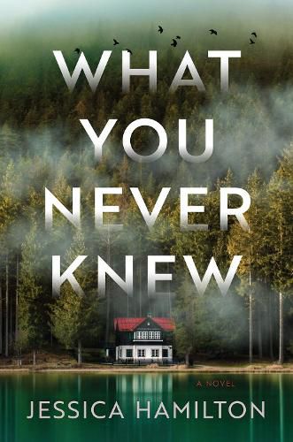 Cover image for What You Never Knew: A Novel