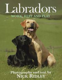 Cover image for Labradors: Work, Rest and Play