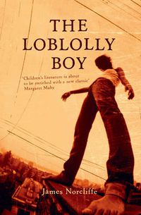 Cover image for The Loblolly Boy