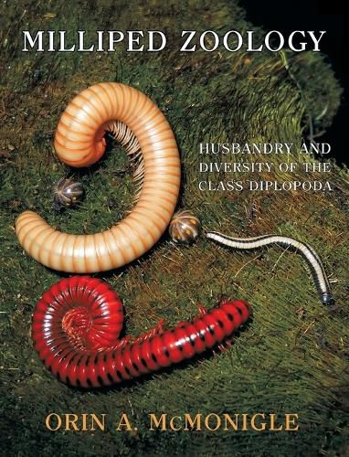 Cover image for Milliped Zoology