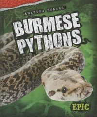 Cover image for Burmese Pythons