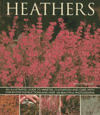 Cover image for Heathers: An Illustrated Guide to Varities, Cultivation and Care, with Step-by-step Instructions and Over 160 Beautiful Photographs