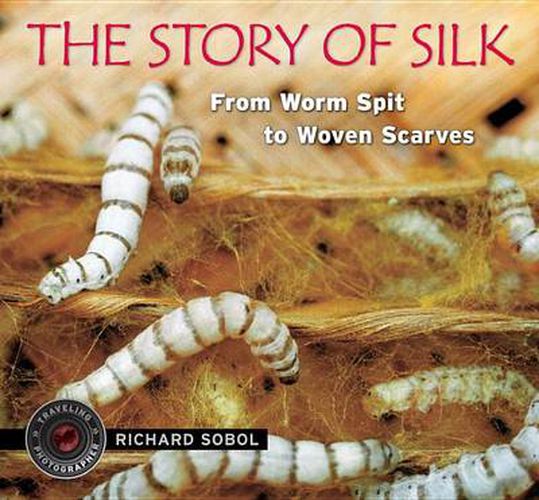 Cover image for The Story of Silk: From Worm Spit to Woven Scarves