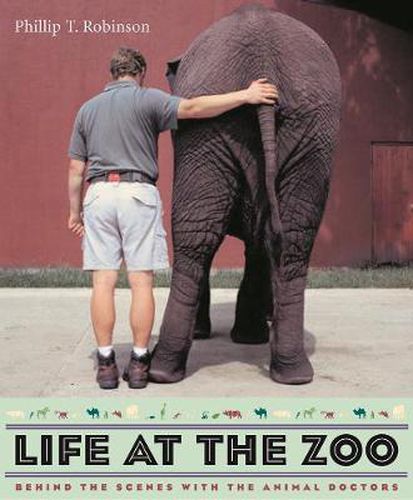 Cover image for Life at the Zoo: Behind the Scenes with the Animal Doctors