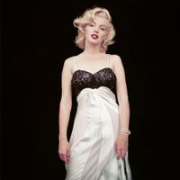 Cover image for The Essential Marilyn Monroe - Deluxe: Milton H. Greene: 50 Sessions