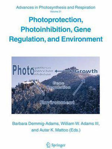 Cover image for Photoprotection, Photoinhibition, Gene Regulation, and Environment