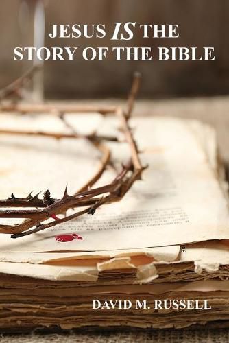 Cover image for Jesus IS the Story of the Bible