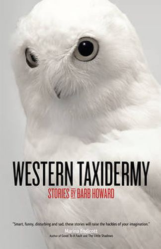 Cover image for Western Taxidermy