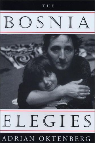 Cover image for The Bosnia Elegies