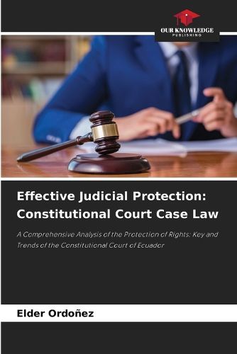 Cover image for Effective Judicial Protection