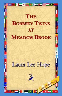 Cover image for The Bobbsey Twins at Meadow Brook