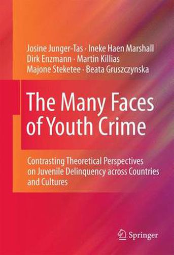 Cover image for The Many Faces of Youth Crime: Contrasting Theoretical Perspectives on Juvenile Delinquency across Countries and Cultures