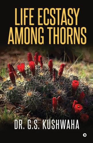 Cover image for Life Ecstasy among Thorns