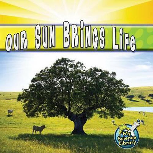 Cover image for Our Sun Brings Life