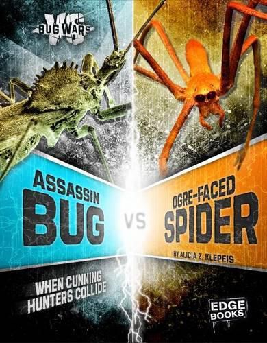 Assassin Bug VS Ogre-Faced Spider: When Cunning Hunters Collide