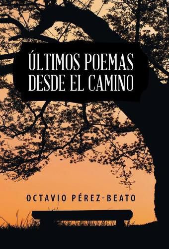 Cover image for Ultimos poemas desde el camino