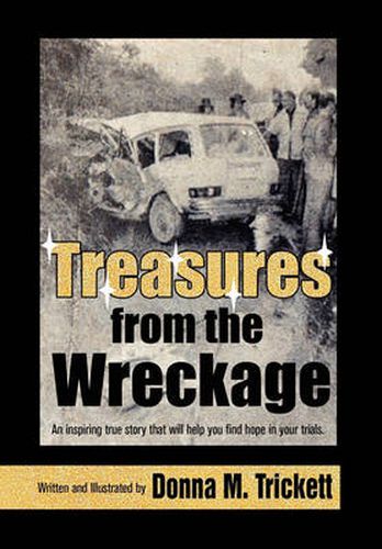 Cover image for Treasures from the Wreckage