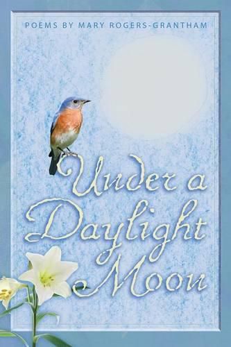 Cover image for Under A Daylight Moon