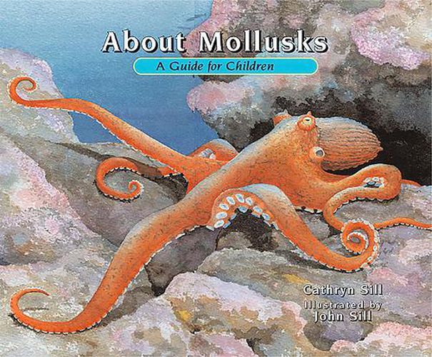 Cover image for About Mollusks: A Guide for Children