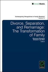 Cover image for Divorce, Separation, and Remarriage: The Transformation of Family