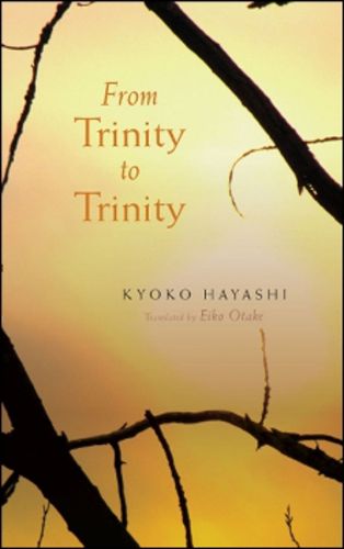 Cover image for From Trinity To Trinity