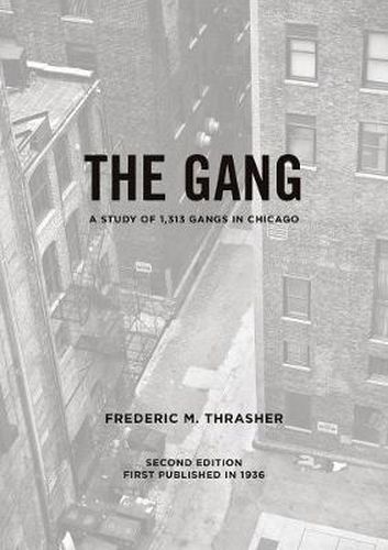 Cover image for The Gang