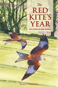 Cover image for The Red Kite's Year