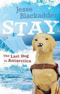 Cover image for Stay: The Last Dog In Antarctica