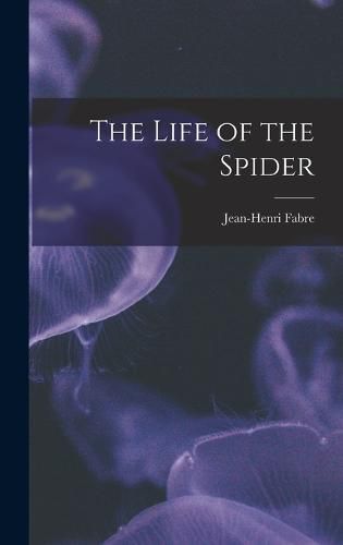 The Life of the Spider