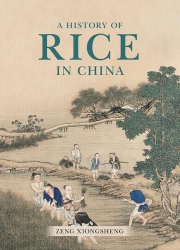 Cover image for A History of Rice in China