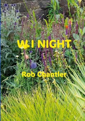 Cover image for W I Night