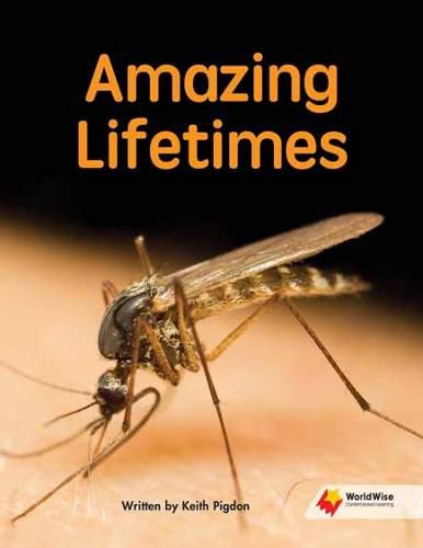 Cover image for Amazing Lifetimes