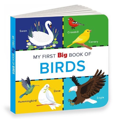 Cover image for My First Big Book of Birds