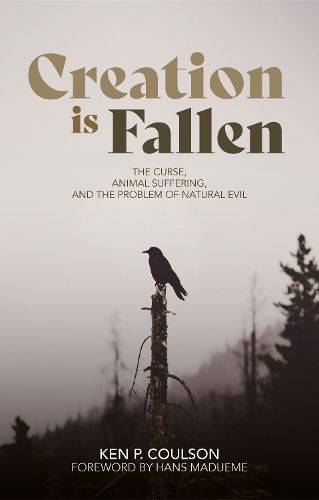 Cover image for Creation is Fallen