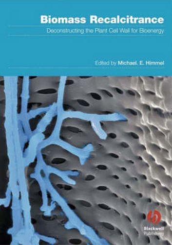 Cover image for Biomass Recalcitrance: Deconstructing the Plant Cell Wall for Bioenergy