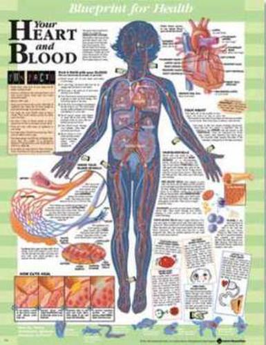 Cover image for Blueprint for Health Your Heart and Blood Chart