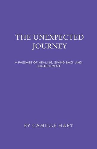 Cover image for The Unexpected Journey