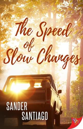 Cover image for The Speed of Slow Changes