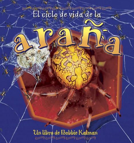 Cover image for El Ciclo de Vida de La Arana