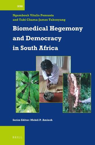 Cover image for Biomedical Hegemony and Democracy in South Africa