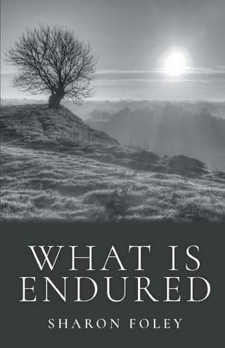 Cover image for What Is Endured