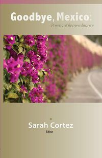 Cover image for Goodbye Mexico: Poems of Remembrance