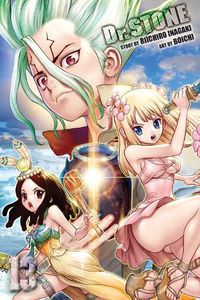 Cover image for Dr. STONE, Vol. 13