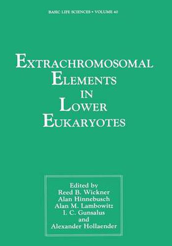 Cover image for Extrachromosomal Elements in Lower Eukaryotes